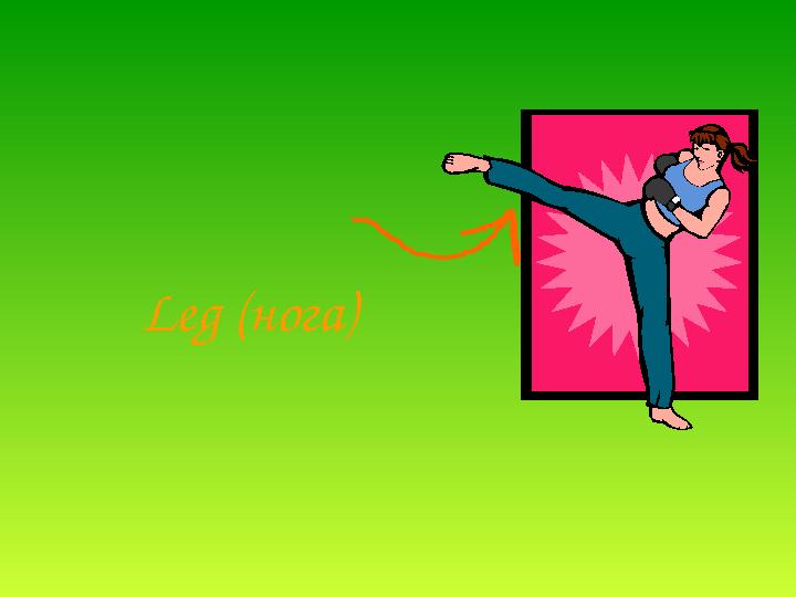 Leg (нога)