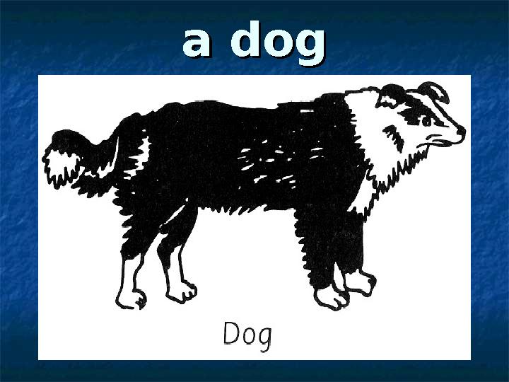 a doga dog
