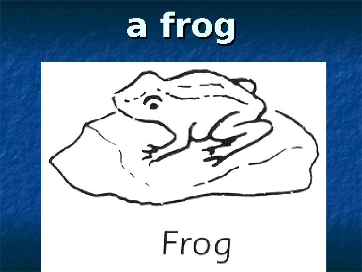 a froga frog