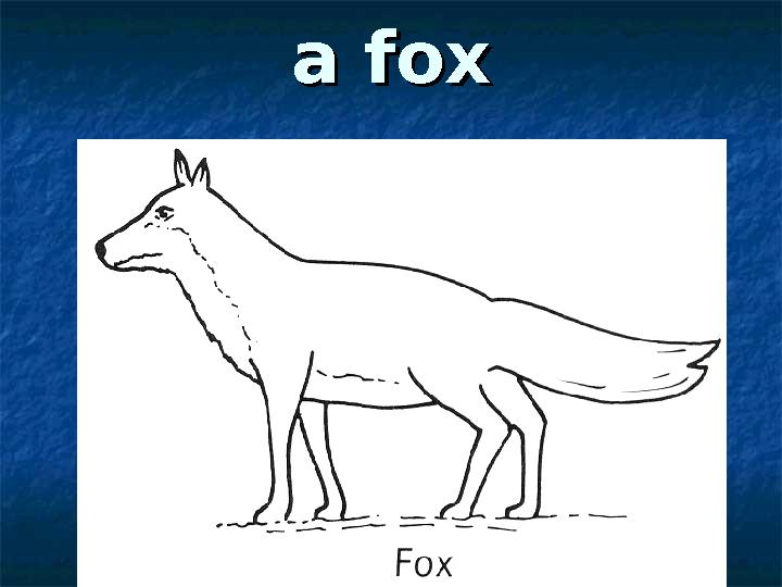 a foxa fox