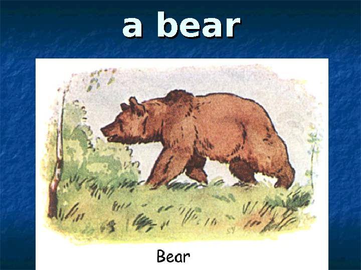 a beara bear