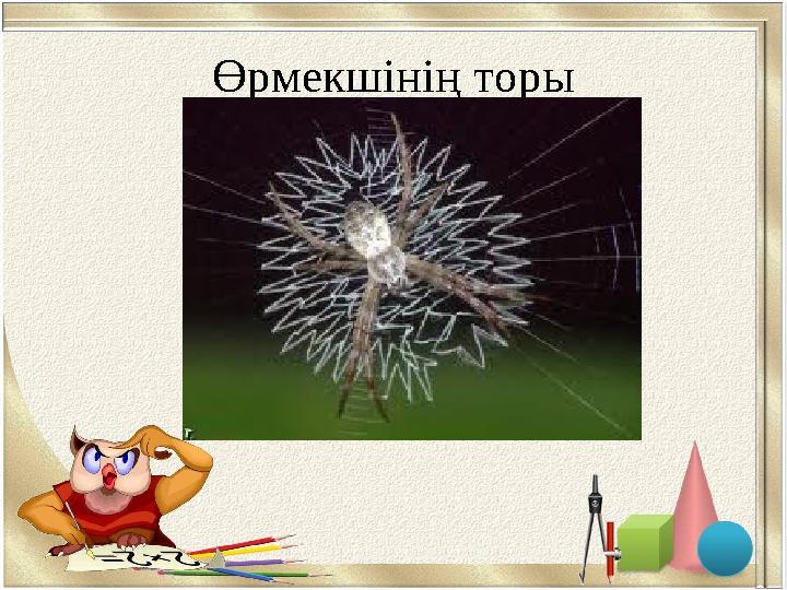 Өрмекшінің торы