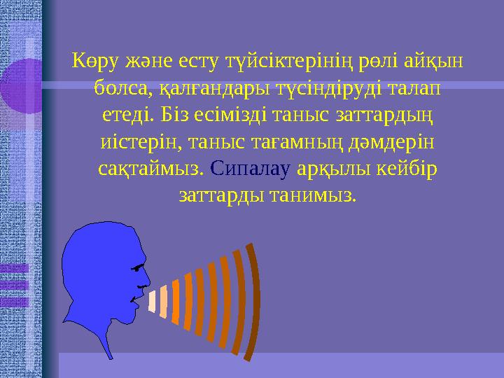Көру және есту түйсіктерінің рөлі айқын болса, қалғандары түсіндіруді талап етеді. Біз есімізді таныс заттардың иіс