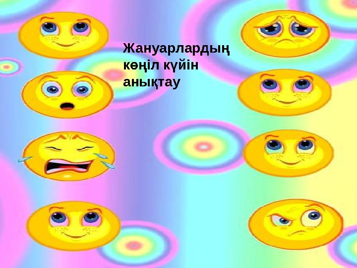 Жануарлардың көңіл күйін анықтау