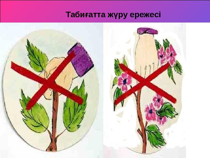 Табиғаттағы ережелер Табиғатта жүру ережесі