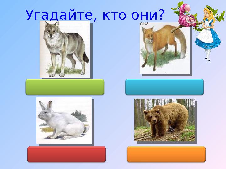 Угадайте, кто они? Бурый, мохнатый, косолапый (Медведь) •Хищный, серый, жадный • (Волк) •Рыжая, хитрая, ловкая