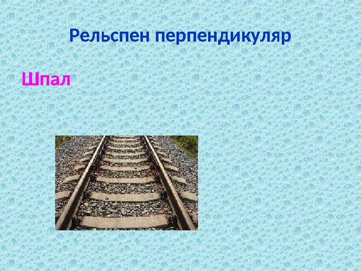 Рельспен перпендикуляр Шпал