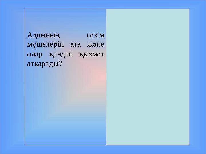 Адамның сезім мүшелерін ата және олар қандай қызмет атқарады? 1.Көз-көру мүшесі. 2.Тері-сезім мүшесі. 3.Құлақ-есту мүшес