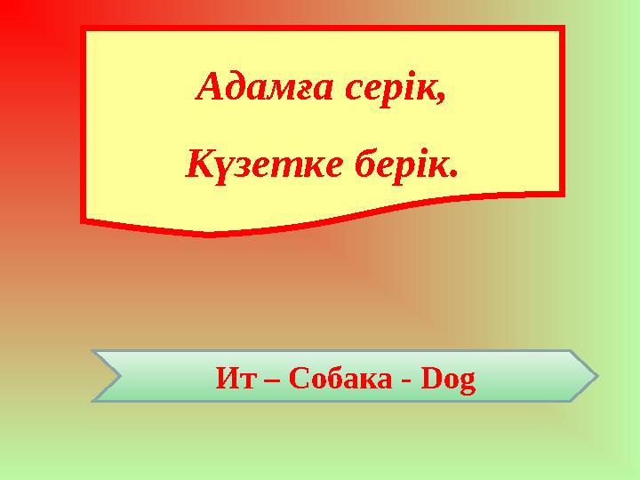 Адамға серік, Күзетке берік. Ит – Собака - Dog