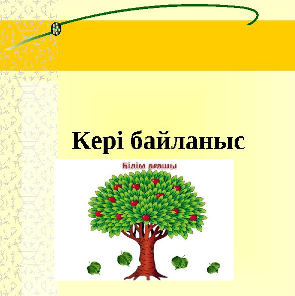 Кері байланыс