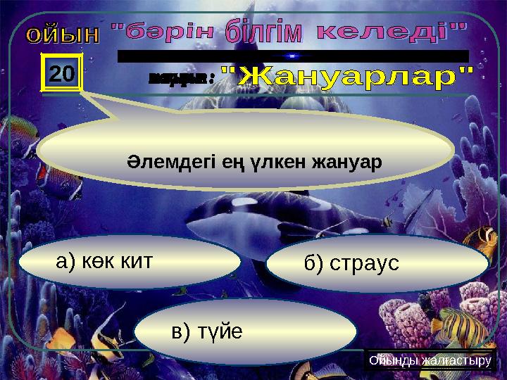 в) түйе б) страуса) көк кит 20 Ойынды жалғастыру Әлемдегі ең үлкен жануар