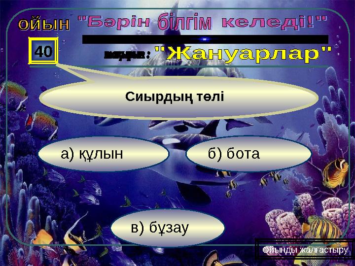 в) бұзау б) ботаа) құлын 40 Ойынды жалғастыру Сиырдың төлі