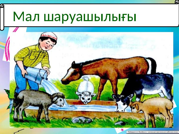 Мал шаруашылығы