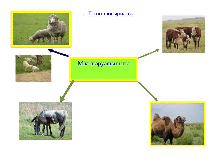 Мал шаруашылығы Мал шаруашылығы . ІІ-топ тапсырмасы.