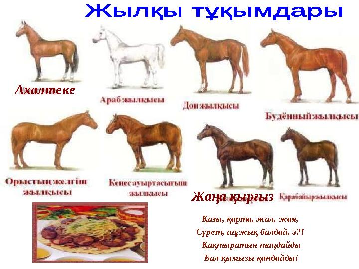 Қазы, қарта, жал, жая, Сүрет, шұжық балдай, ә?! Қақтыратын таңдайды Бал қымызы қандайды! Ахалтеке Жаңа қырғыз