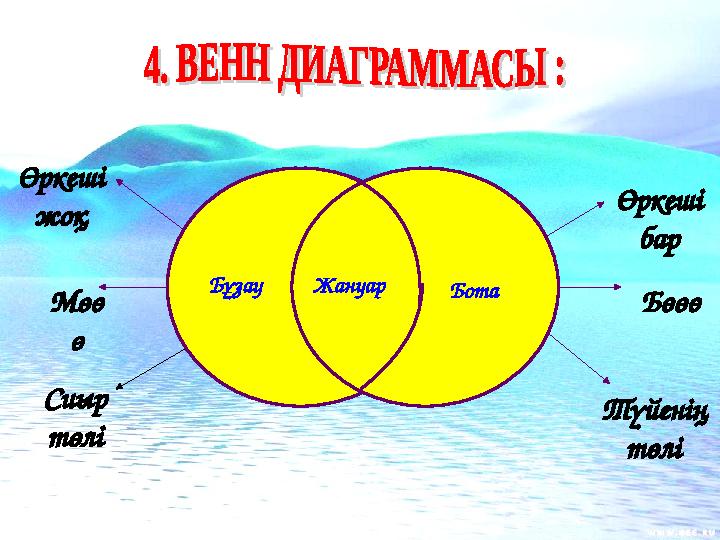 Бұзау БотаЖануар Өркеші жоқ Мөө ө Сиыр төлі Өркеші бар Бөөө Түйенің төлі