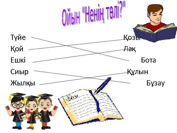 Түйе Қозы Қой Лақ Ешкі Бота