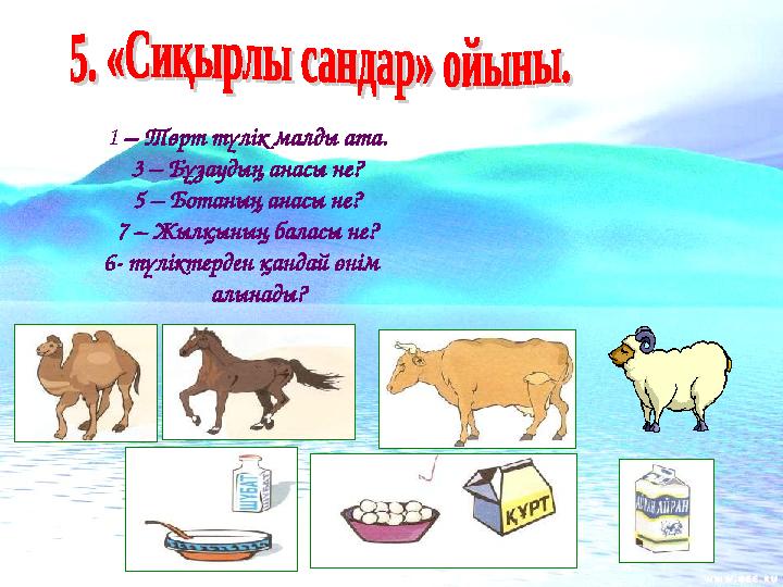 13 6 57 1 – Төрт түлік малды ата. 3 – Бұзаудың анасы не? 5 – Ботаның анасы не? 7 – Жылқының баласы не? 6- түліктерден қандай ө