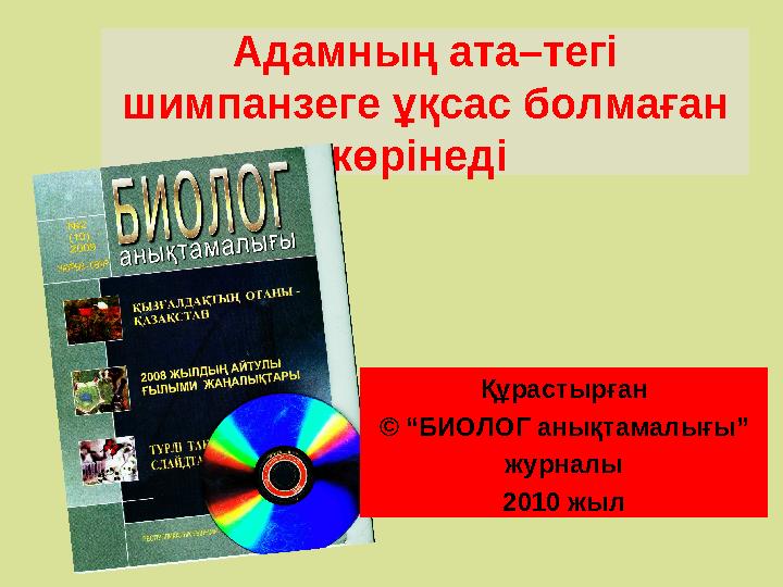 Үлкен ойыншықтар порно қозғалысы Бразилиялық порно актрисалармен порно