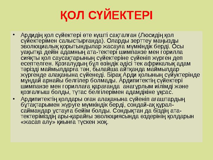 ҚОЛ СҮЙЕКТЕРІ •Ардидің қол сүйектері өте күшті сақталған (Люсидің қол сүйектерімен салыстырғанда). Оларды зерттеу маңызды эвол