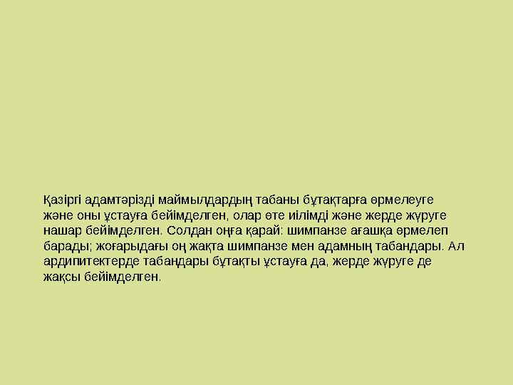 Қазіргі адамтәрізді маймылдардың табаны бұтақтарға өрмелеуге және оны ұстауға бейімделген, олар өте иілімді және жерде жүруге