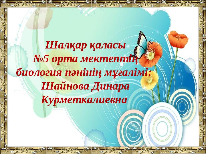 Орыс жұп және транс