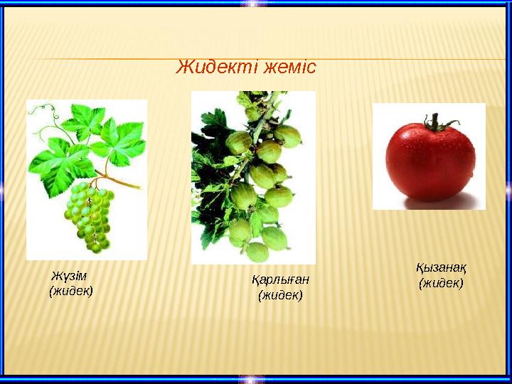 Жидекті жеміс Жүзім (жидек) Қарлыған (жидек) Қызанақ (жидек)
