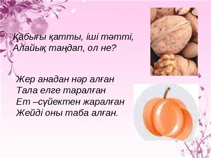 Қабығы қатты, іші тәтті, Алайық таңдап, ол не? Жер анадан нәр алған Тала елге таралған Ет –сүйектен жаралған Жейді оны таба алғ