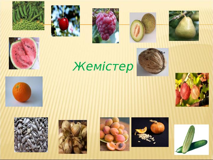 Жемістер