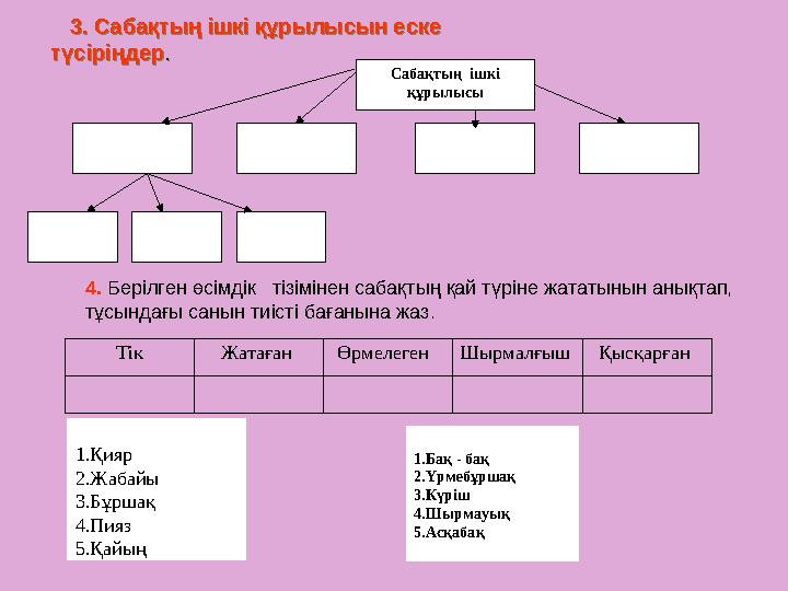 Тік Жатаған Өрмелеген Шырмалғыш Қысқарған 1.Қияр 2.Жабайы 3.Бұршақ 4.Пияз 5.Қайың 1.Бақ - бақ 2.Үрмебұршақ 3.Күріш 4.Шыр
