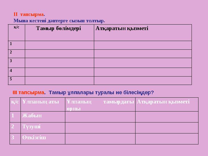 ІІ тапсырма. Мына кестені дәптерге сызып толтыр. қ/с Тамыр бөлімдері Атқаратын қызметі 1 2 3 4 5 қ/с Ұлпаның аты Ұлпаның там