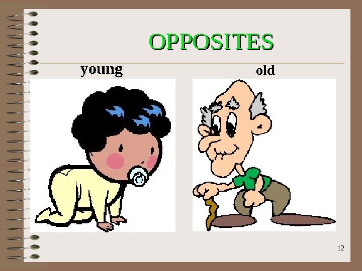OPPOSITESOPPOSITES young old 12