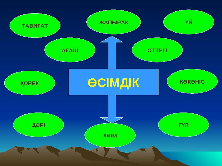ӨСІМДІК ТАБИҒАТ АҒАШ ОТТЕГІ КӨКӨНІС ҚОРЕК ГҮЛДӘРІ КИІМ ЖАПЫРАҚ ҮЙ