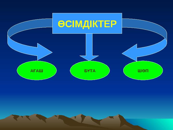 ӨСІМДІКТЕР ШӨПАҒАШ БҰТА