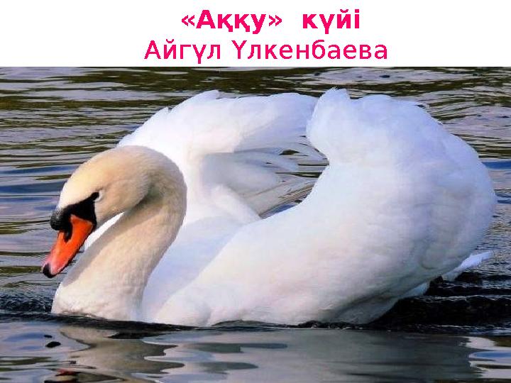 «Аққу» күйі Айгүл Үлкенбаева