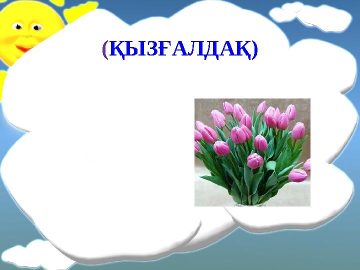 ( ҚЫЗҒАЛДАҚ )