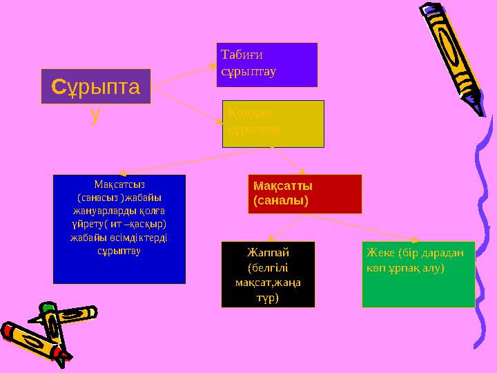 Cұрыпта у Табиғи сұрыптау Қолдан сұрыптау Мақсатсыз (санасыз )жабайы жануарларды қолға үйрету( ит –қасқыр) жабайы өсімдікт