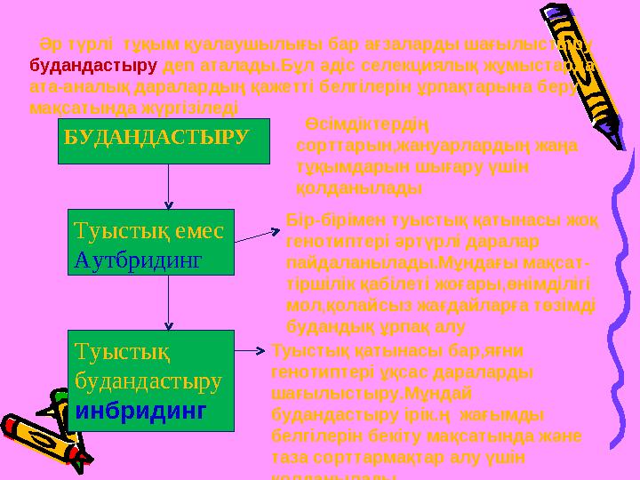 БУДАНДАСТЫРУ Туыстық емес Аутбридинг Туыстық будандастыру инбридинг Әр түрлі тұқым қуалаушылығы бар ағзаларды шағылыстыру б