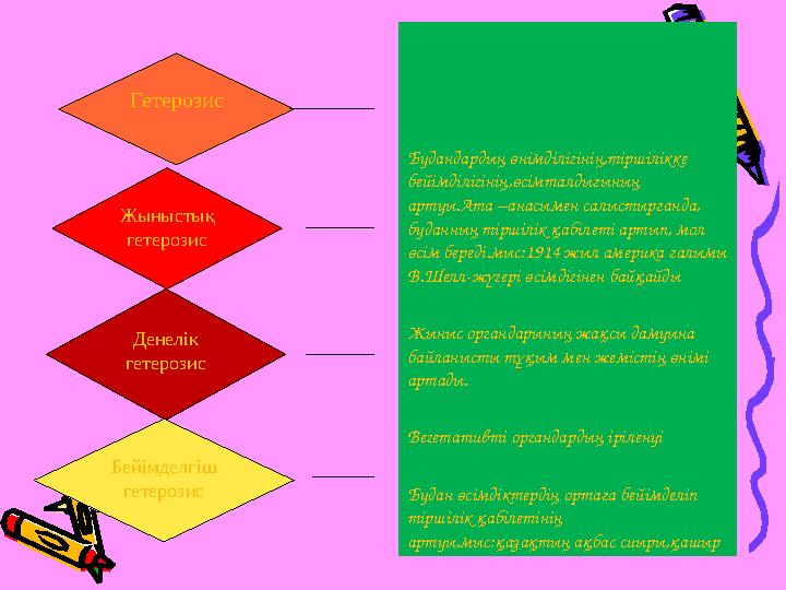 Будандардың өнімділігінің,тіршілікке бейімділігінің,өсімталдығының артуы.Ата –анасымен салыстырғанда, буданның тіршілік қабіл