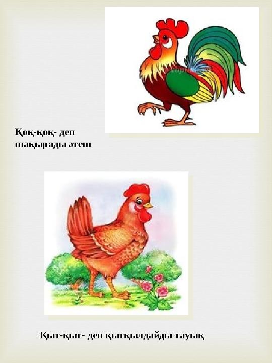 Қыт-қыт- деп қытқылдайды тауық Қоқ-қоқ- деп шақырады әтеш