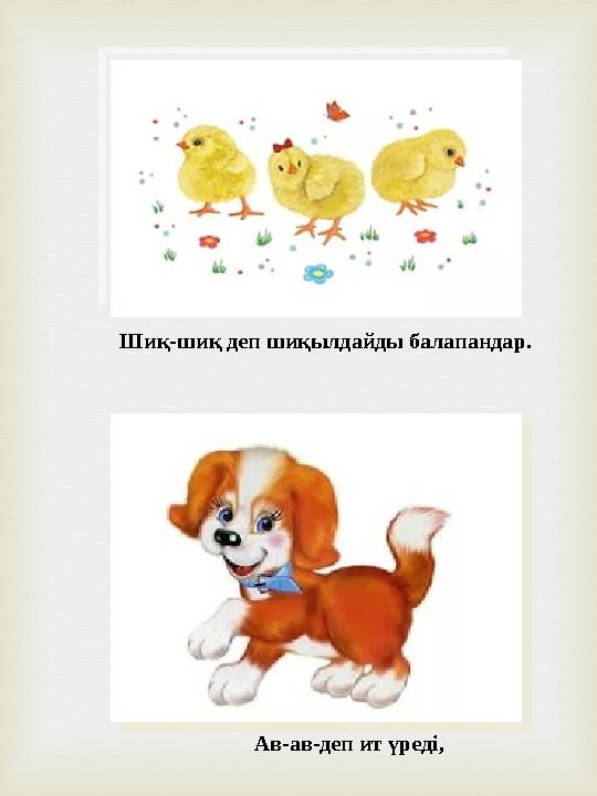 Шиқ-шиқ деп шиқылдайды балапандар. Ав-ав-деп ит үреді,