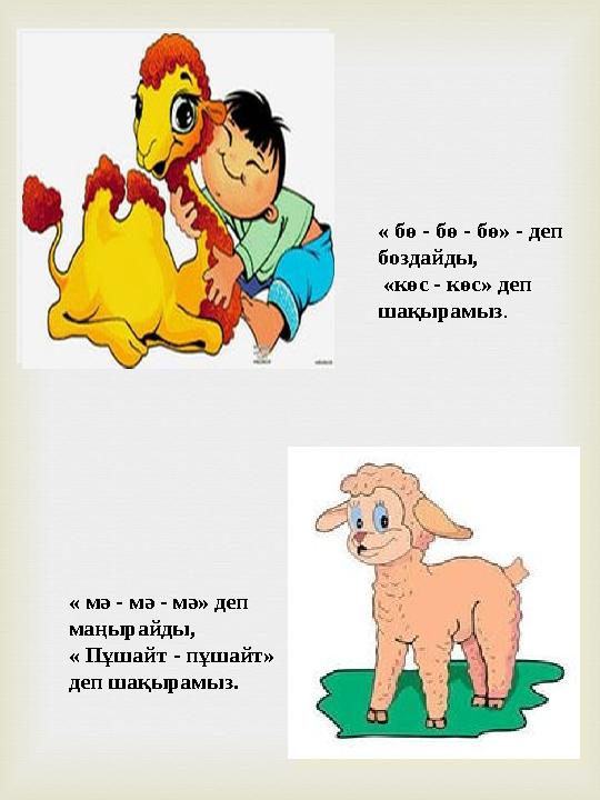 « бө - бө - бө» - деп боздайды, «көс - көс» деп шақырамыз. « мә - мә - мә» деп маңырайды, « Пұшайт - пұшайт» деп шақырамыз