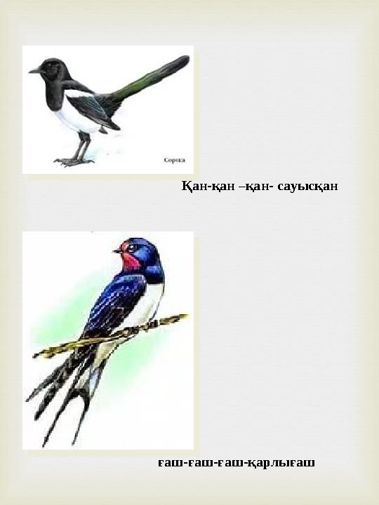Қан-қан –қан- сауысқан ғаш-ғаш-ғаш-қарлығаш
