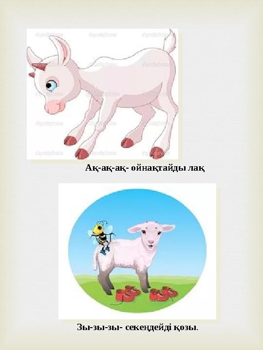 Ақ-ақ-ақ- ойнақтайды лақ Зы-зы-зы- секеңдейді қозы.