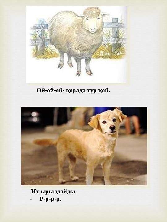 Ой-ой-ой- қорада тұр қой. Ит ырылдайды - Р-р-р-р.