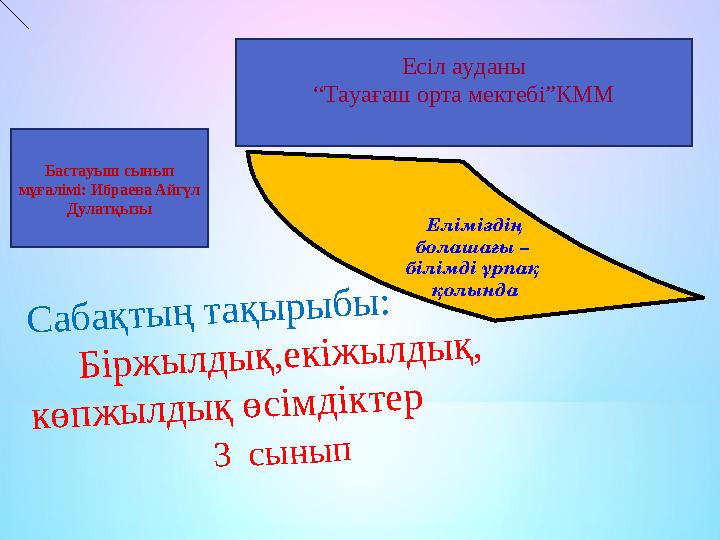 Бір əйелді көп еркек былғайды