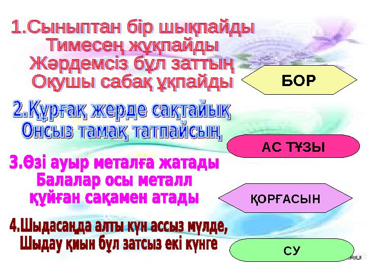 БОР АС ТҰЗЫ ҚОРҒАСЫН СУ