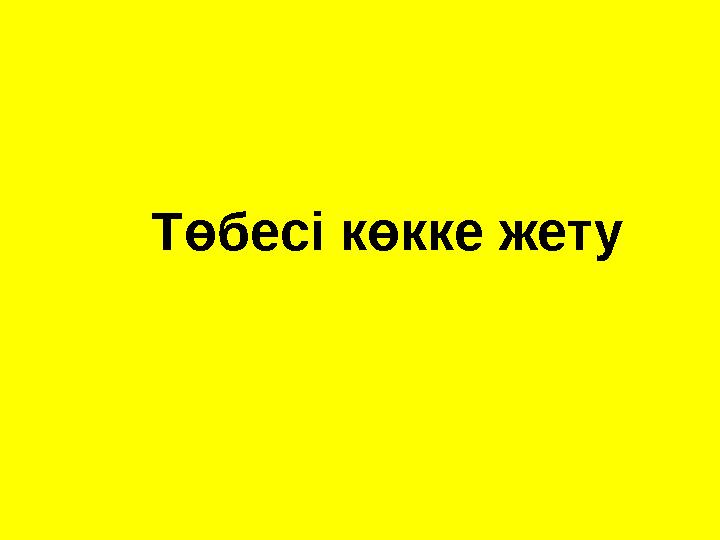 Төбесі көкке жету
