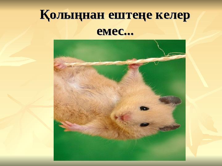 Қолыңнан ештеңе келер Қолыңнан ештеңе келер емес...емес...