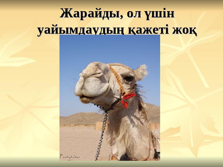 Жарайды, ол үшін Жарайды, ол үшін уайымдаудың қажеті жоқуайымдаудың қажеті жоқ